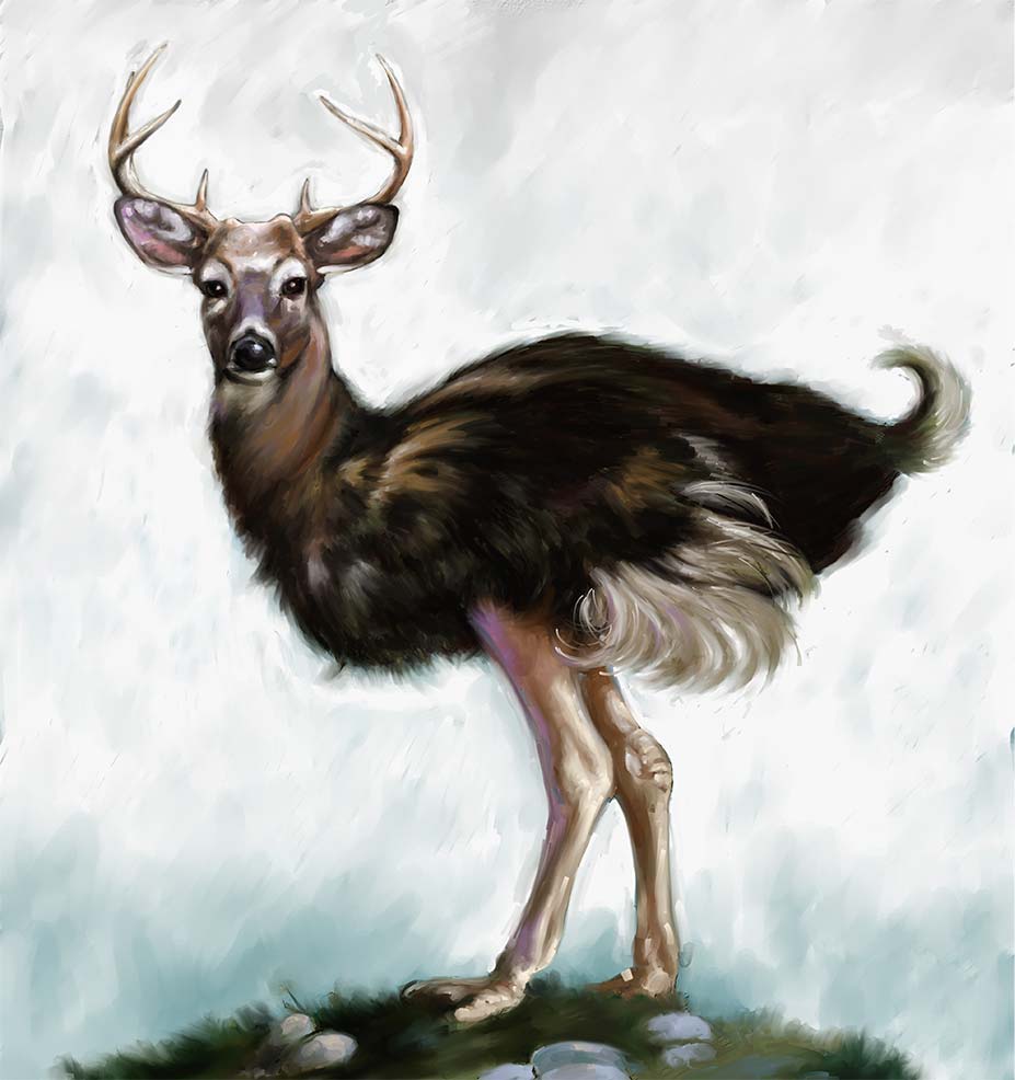 Deerstrich