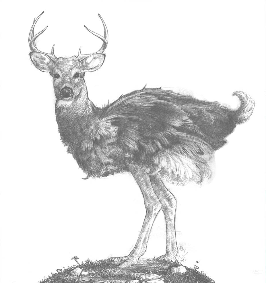 Deerstrich Sketch