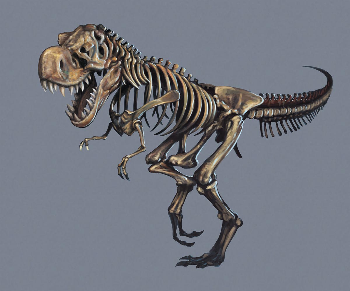 Spanky Bones
