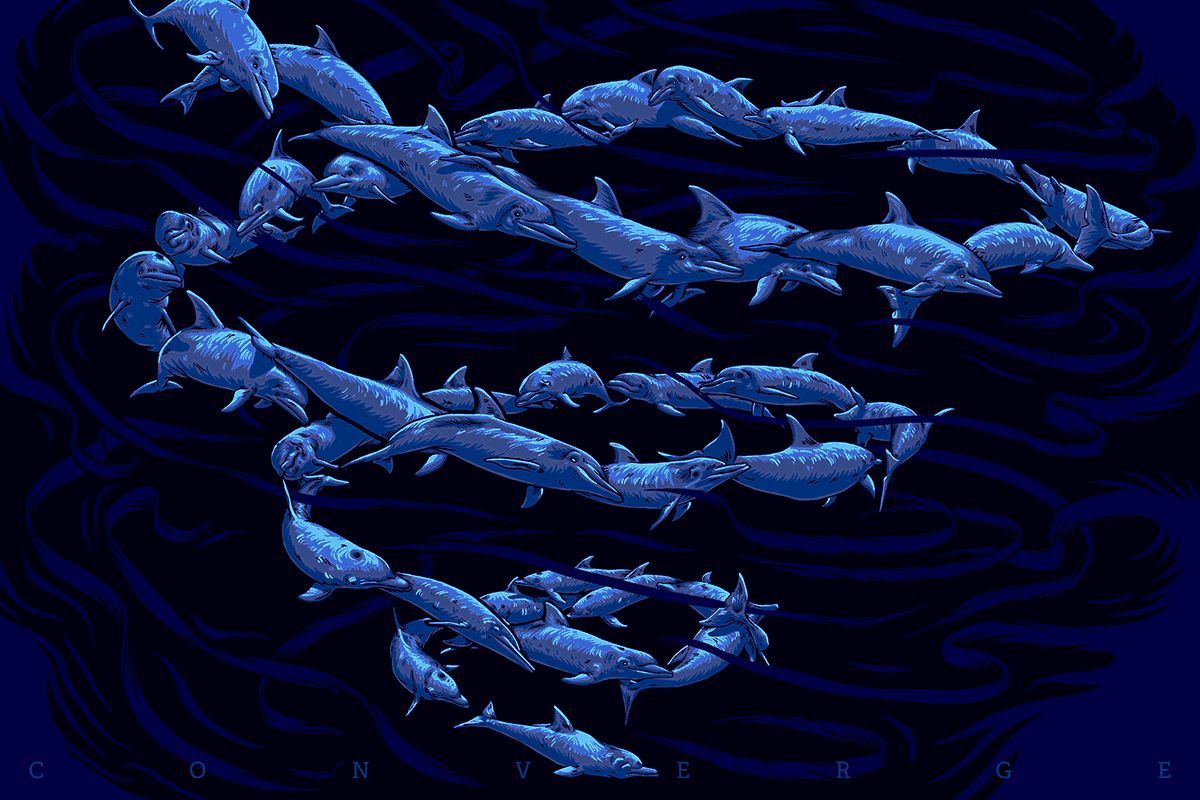 Dolphin / The Gamer