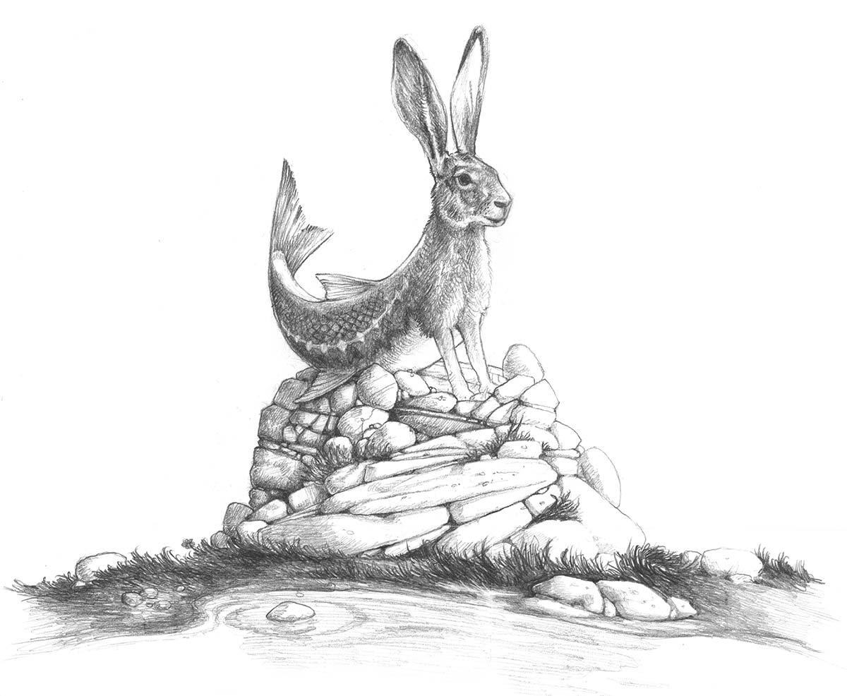 Rabbass Sketch