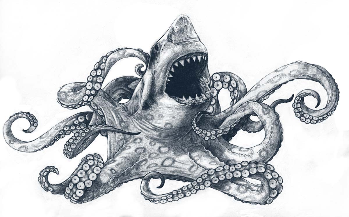 Sharktapus Sketch