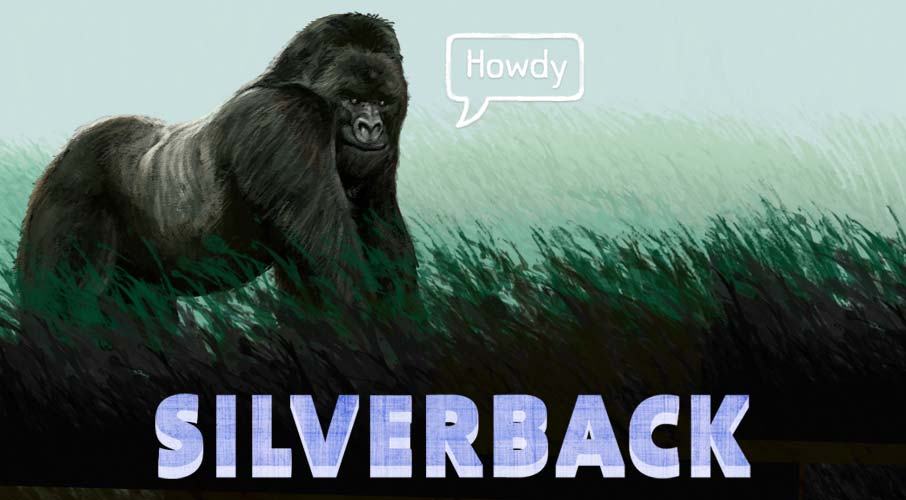 Silverback Illustration